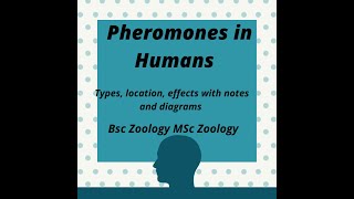 Pheromones in Humans with Handwritten notes in English [upl. by Llahsram827]