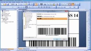 How to Use Bartender Label Design Software [upl. by Aicener753]