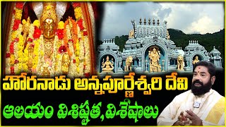 హొరనాడు అన్నపూర్ణేశ్వరి దేవి ఆలయం విశిష్టతవిశేషాలు  Horanadu Annapoorneshwari Temple Karnataka [upl. by Ttelrats]