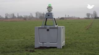 Automatic laser repels geese at dairy farm [upl. by Schweitzer52]