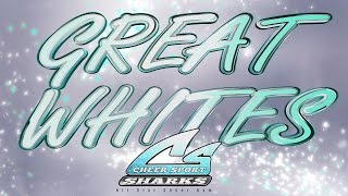 CHEER SPORT SHARKS 20162017  GREAT WHITES PROMO C [upl. by Heim429]