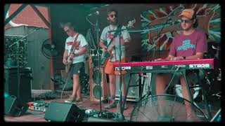 Bodega Cat  Pumped Up Kicks Foster The People Cover [upl. by Teerell]