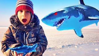 New Baby Shark video for kids Nursery Rhymes  baby shark kids song  Kids adventures [upl. by Auqinet]