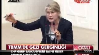 Emine Ulker Tarhan Gezi Park Speech with Subtitle [upl. by Wilden]