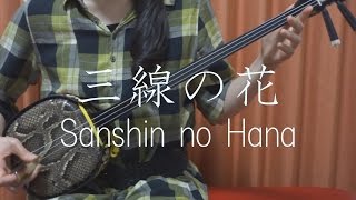 『三線の花』 BEGIN 【 沖縄 三線 cover 】／『Sanshin no Hana』 BEGIN 【 Okinawa Sanshin Music 】 [upl. by Letty]