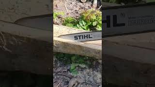 스틸 전기톱 Chainsaw STIHL Machinery Sawing Dipterocarpus Alatus Tree shorts 2687 [upl. by Clayton]