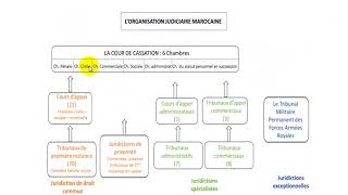 M2  Organisation judiciaire 13 [upl. by Malda]