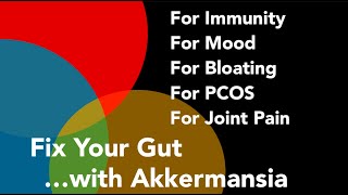 AKKERMANSIA for GUT Rebuilding [upl. by Ahsit547]