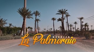 La Palmeraie Marrakech 4K  Morning Drive  Relaxation  streetma [upl. by Ardnekat]