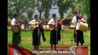 LOS CANTORES DEL SALADILLO en el programa RAICES SALTEÑAS [upl. by Natty758]