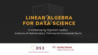 Linear Algebra for Data Science  Data Science Summer School 2023 [upl. by Annalee]