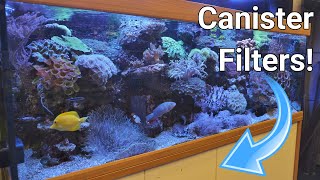 Saltwater Aquarium With Canister Filter [upl. by Harneen]