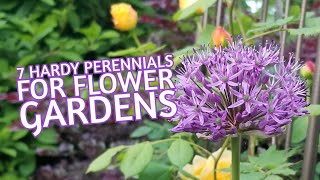 7 Hardy Perennials for Flower Gardens [upl. by Daegal103]