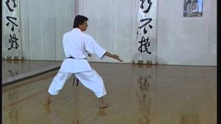 Gojushiho Sho  Efthimios Karamitsos  Karate  Kata  Shotokan [upl. by Ynnoj]