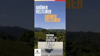 How to Pronounce Grüner Veltliner howtopronounce austria grunerveltliner [upl. by Mozelle]