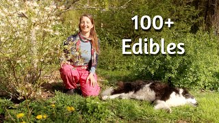 Blossoming Permaculture FOOD FOREST With OVER 100 Edible Plants amp Trees  UK [upl. by Alpheus]