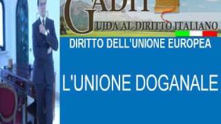 13 DIRITTO DELLUNIONE EUROPEA LUNIONE DOGANALEwmv [upl. by Eerehs835]