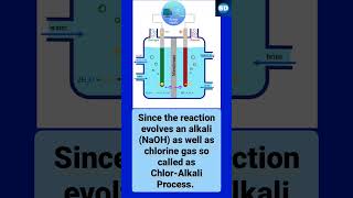 What is Chlor Alkali Process  chlorine preparation  Hindi tutorial  class 10  shorts [upl. by Zolly]