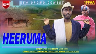 HEERUMA  New Oromo comedy  Comedy barsiisoo baayyee baayyee nama hawwatu [upl. by Anivram]