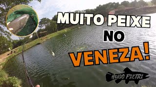 Pesqueiro Veneza muita ação e resenha top [upl. by Zia717]