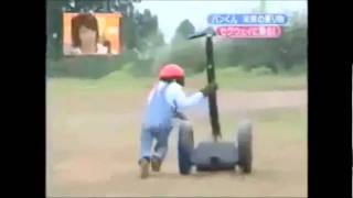 Chimpanzee riding on a segway 10 minutes [upl. by Ybbil]