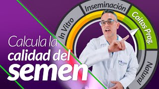 Calculadora de calidad del semen Concentración motilidad y morfología de los espermatozoides [upl. by Spillihp]