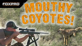 Calling Fowl Mouth Coyotes [upl. by Carbone]