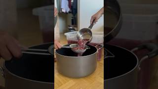 Telugu Vlogs  Canada vlogs  Homemade Grape Wine2 shorts youtubeshorts teluguvlogs vaasvlogs [upl. by Ihana]