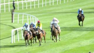 Punchestown Festival Highlights  DAY 1 [upl. by Heidie]