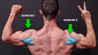 The ONLY 2 Exercises You Need for Rear Delts NO SERIOUSLY [upl. by Potts]