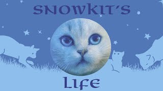 Snowkits Life [upl. by Louanna234]