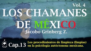 Cap 13 Los procedimientos de limpieza limpias en la PAM  LOS CHAMANES DE MÉXICO Vol 4 [upl. by Esenej]