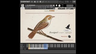 Songbird Virtuoso KONTAKT [upl. by Clayborne990]