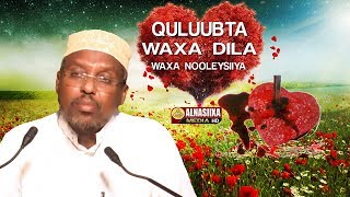 QULUUBTA WAXA DILA amp WAXA NOOLEEYA ᴴᴰ┇Sh Mustafe Xaaji Ismaaciil [upl. by Natek]