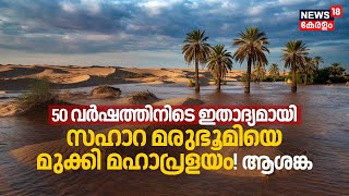 Rare Rain Floods Sahara Desert 50 Yearsനിടെ ഇതാദ്യമായി Sahara Desertനെ മുക്കി മഹാപ്രളയം ആശങ്ക N18G [upl. by Salvay]