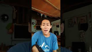 One Direction  Drag Me Down  A Cappella Song Cover   Dave Galing is out now [upl. by Galloway]