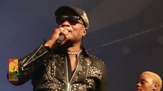 Koffi Olomide performs Loi Live  The Koroga Festival [upl. by Eemia]