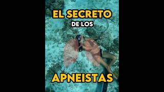 APNEA ESTATICA o BUCEO LIBRE [upl. by Saimerej]