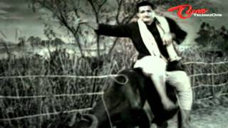 Mooga Manasulu Songs  Mudda Banthi Puvvulo  Akkineni Nageswara Rao Jamuna Savitri Ghantasala [upl. by Nyrmac380]