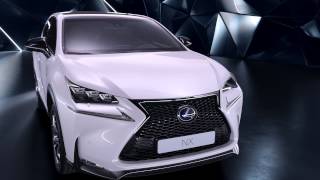 2014 Lexus NX 300h F Sport [upl. by Ameluz]