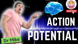 Action Potential  Graded Potentials [upl. by Braswell]