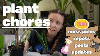 Plant chores  Repotting pests amp updates [upl. by Esinrahs476]