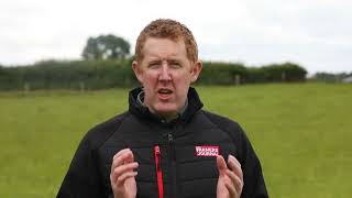 Are the Easycare sheep breed right for you Find out at the Tullamore Farm open day [upl. by Marduk972]