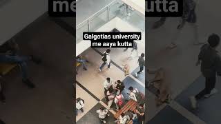 Galgotias university me aaya kutta [upl. by Deland352]