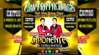 ⭐  La Movidita  Los Imponentes de Tierra Mixteca Audio en vivo [upl. by Orpheus]