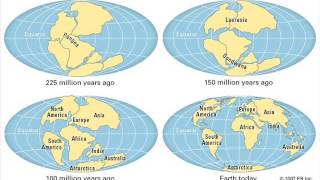 Continental Drift Debunked [upl. by Ottillia513]