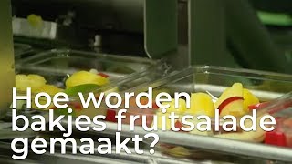 Hoe maken ze bakjes fruitsalade  Doen Ze Dat Zo [upl. by Ecinna807]