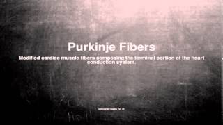 Medical vocabulary What does Purkinje Fibers mean [upl. by Ollie]