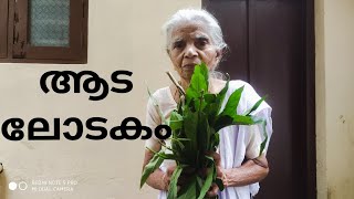 ആടലോടകം പൊടിക്കൈ  Relief from coughing  അമ്മുമെടെ Ayurvedic Recipe  Mucus Infection Cure [upl. by Anomar]