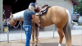 SKIP N MAGIC AQHA Palomino mare for sale [upl. by Akiwak]